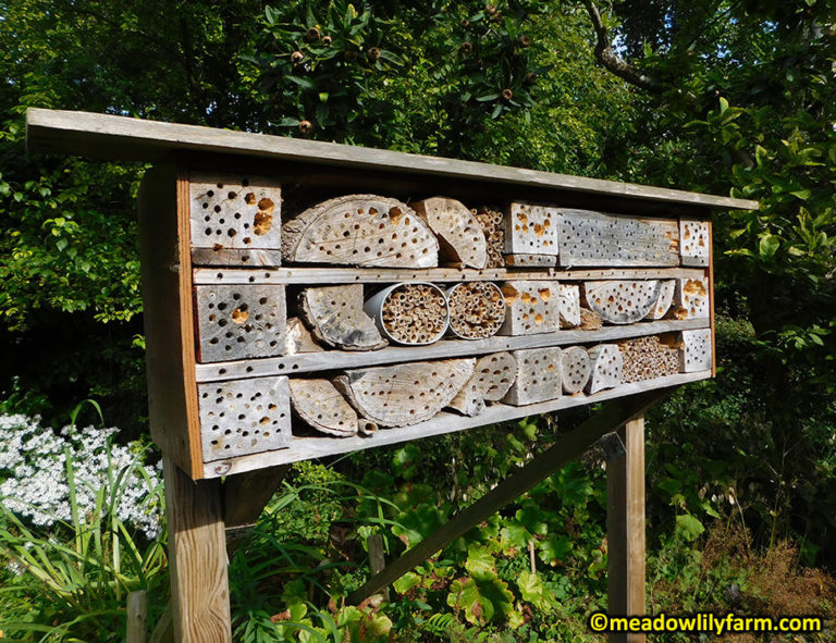 How To Make A Bee Hotel - Meadowlily Farm Canada Natural Raw Honey ...