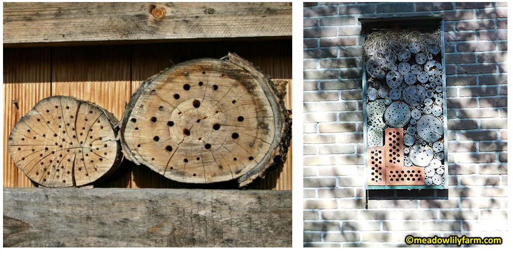 Bee Hotel ideas