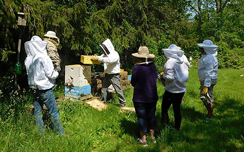 Beekeeping Classes