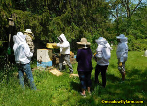 Bee Keeping Class