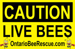 Caution Live Bees Magnet