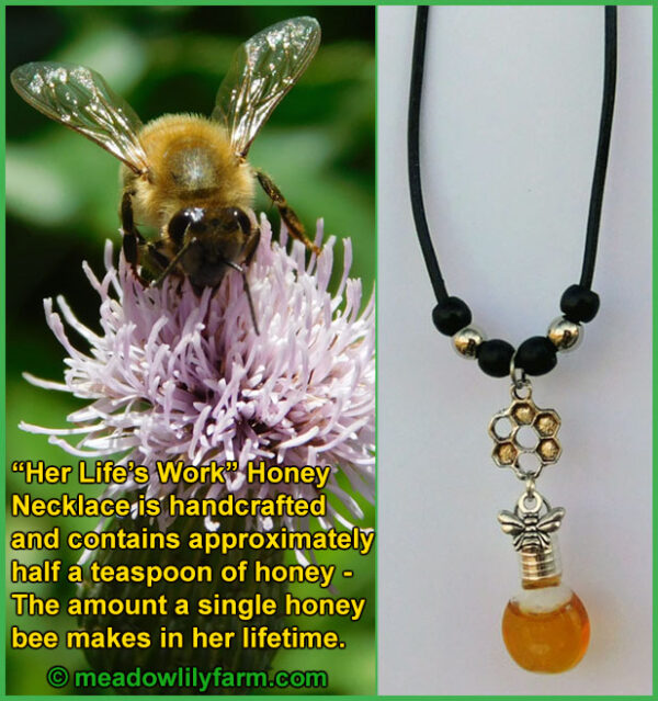 Honey Honeycomb Necklace