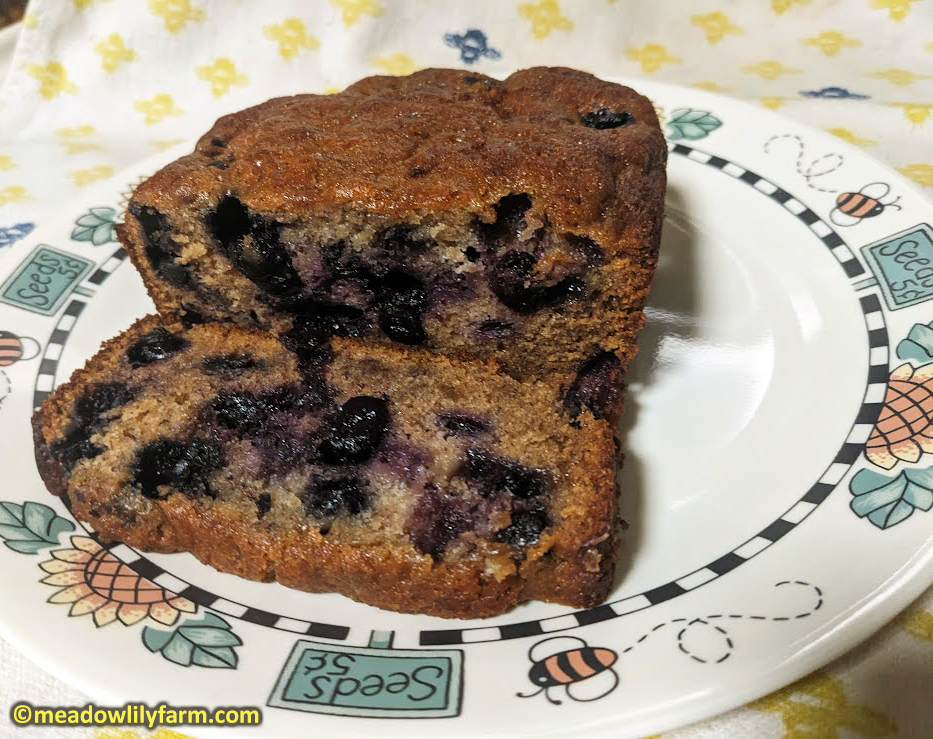 Blueberry Banana Bread with Honey